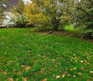  Terrain � vendre 365 m�