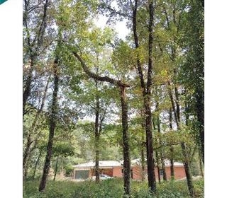  Terrain � vendre 1027 m�