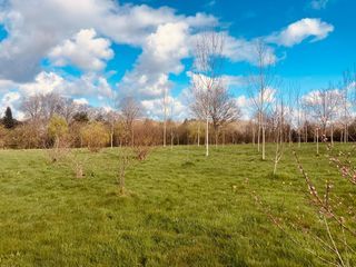  Terrain � vendre 5720 m�