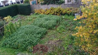  Terrain � vendre 256 m�