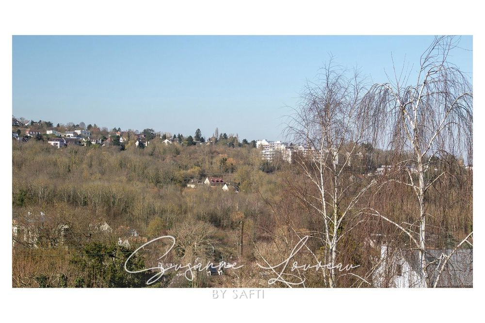 � vendre  Maison L'�tang-la-Ville (78620)