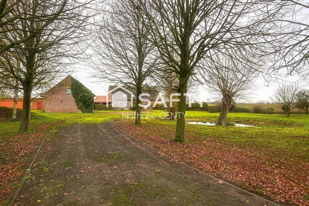 � vendre  Maison Steenvoorde (59114)