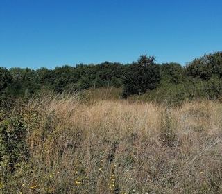  Terrain � vendre 24965 m�