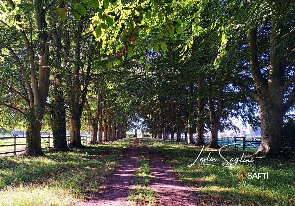 � vendre  Maison Cabourg (14390)