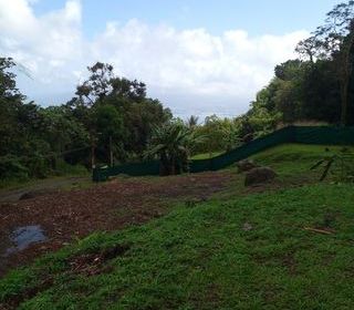  Terrain � vendre 517 m�