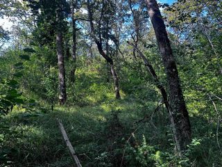  Terrain � vendre 13065 m�