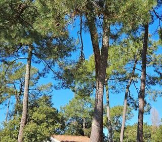  Maison � vendre 2 pi�ces 28 m�