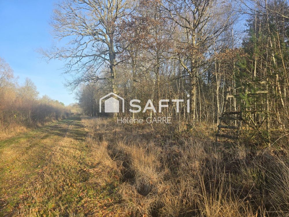 � vendre  Maison Presly (18380)