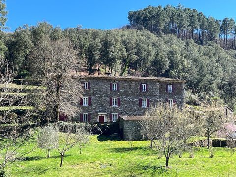   Mas Cevenol Maison - 15 + pi�ce(s) - 321 m�