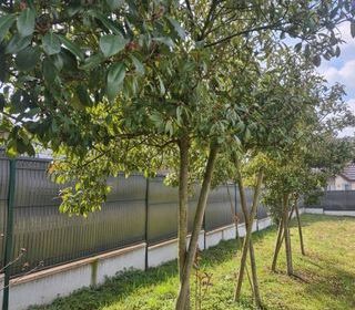  Terrain � vendre 351 m�