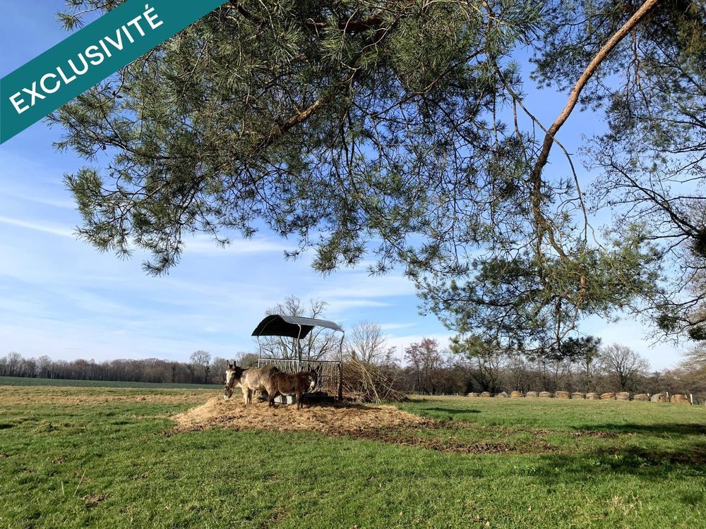 � vendre  Maison Louhans (71500)