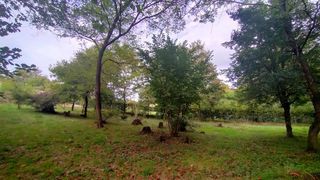  Terrain � vendre 1203 m�