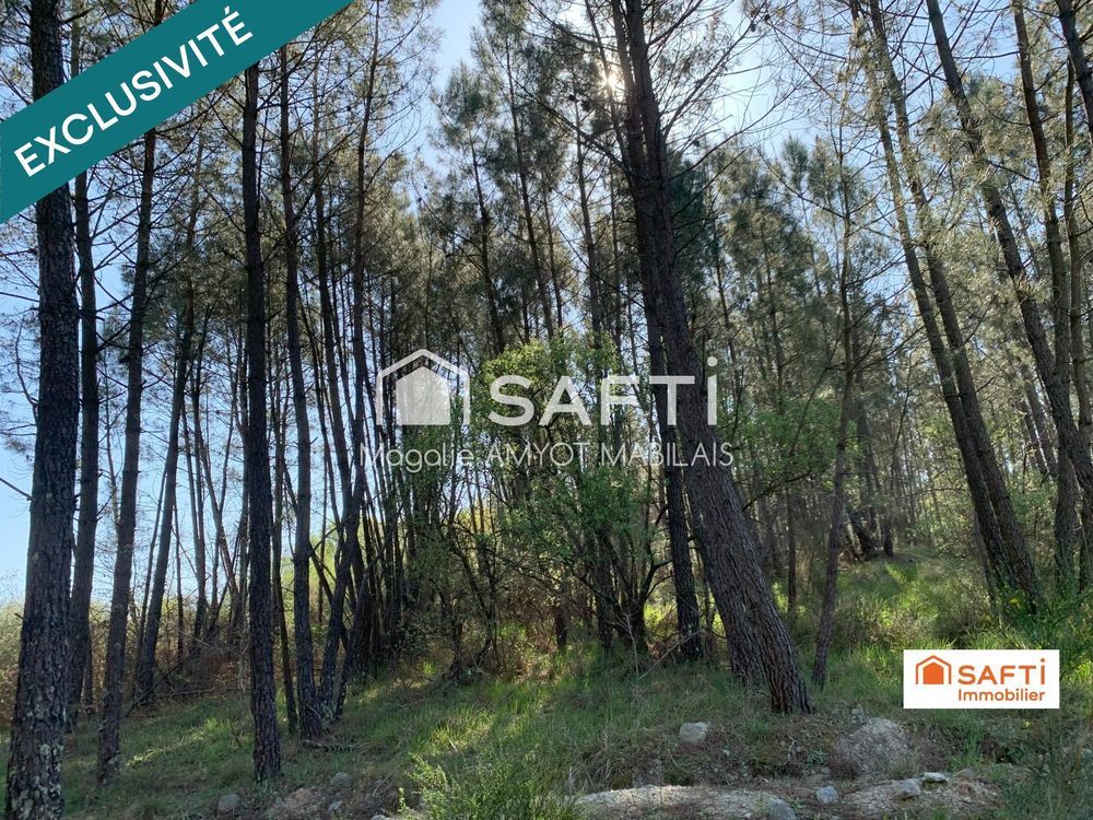 � vendre  Maison Barbezieux-Saint-Hilaire (16300)