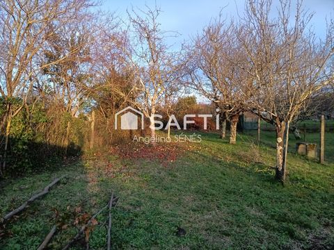   Maison 300m2 Maison - 15 + pi�ce(s) - 300 m�