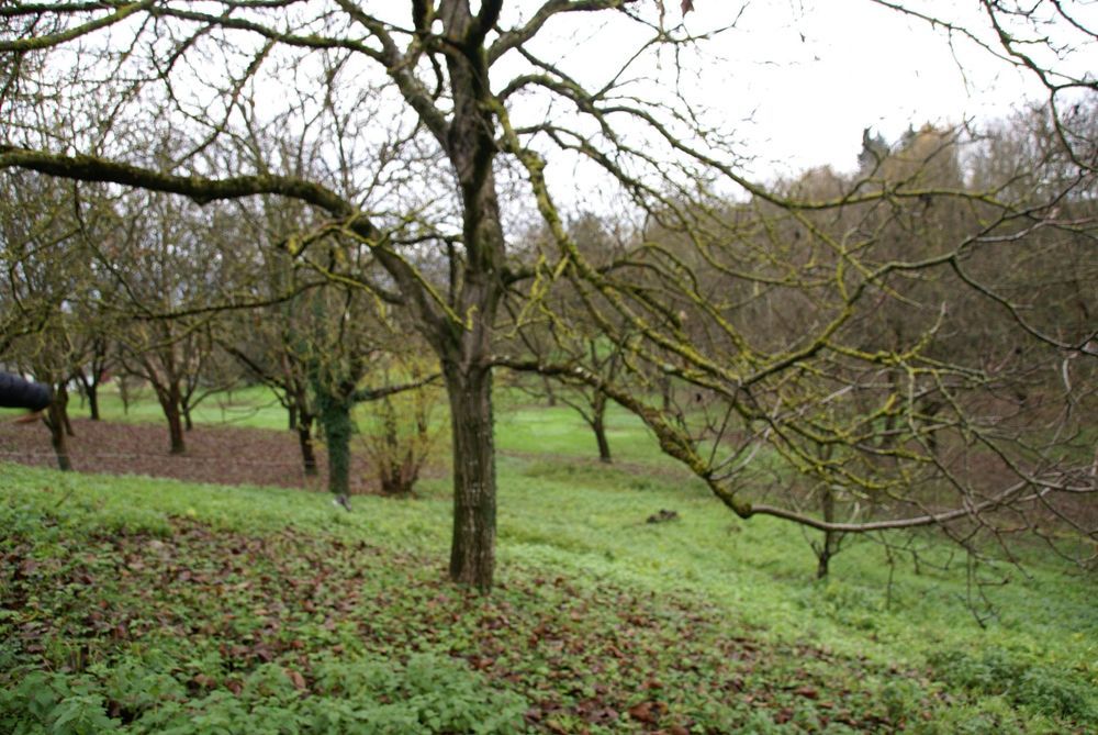 � vendre  Maison Hostun (26730)