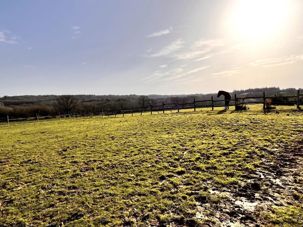 � vendre  Maison Bovel (35330)