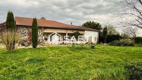   Corps de ferme de 220 m2 Maison - 5 pi�ce(s) - 220 m�