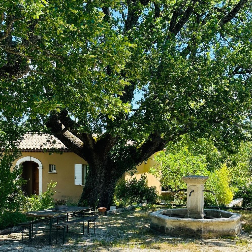 � vendre  Maison Mane (04300)