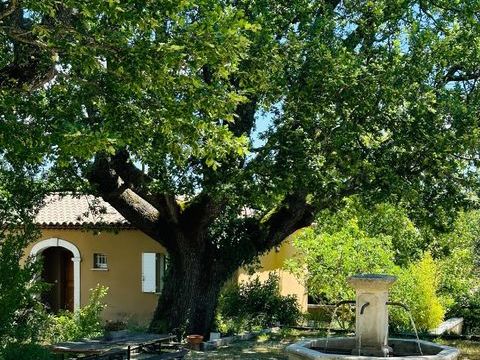   Propri�t� � fort potentiel locatif � Mane (Alpes-de-Haute-Provence) Maison - 13 pi�ce(s) - 310 m�