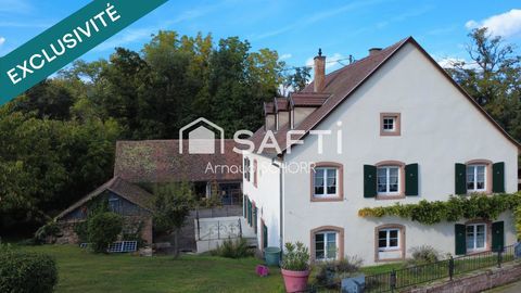   Authenticit� et charme typiquement Alsacien Maison - 10 pi�ce(s) - 279 m�