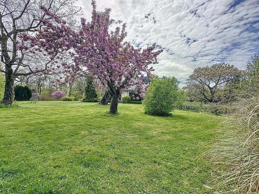 � vendre  Propri�t�/ch�teau Villeneuve-sur-Yonne (89500)