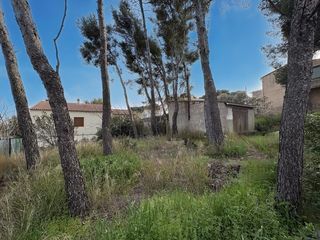  Terrain � vendre 338 m�