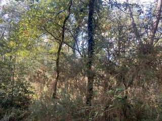  Terrain � vendre 2890 m�