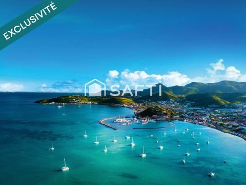 Mur commerciaux &agrave; Marigot 200000 97150 Saint-martin