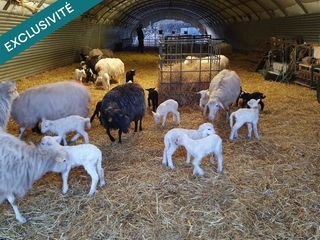  Terrain � vendre 19748 m�