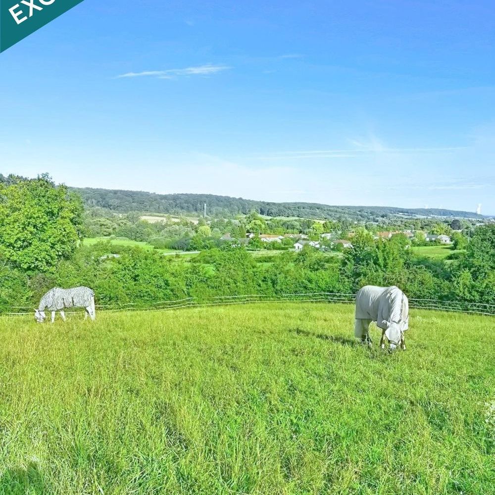 � vendre  Maison Buding (57920)