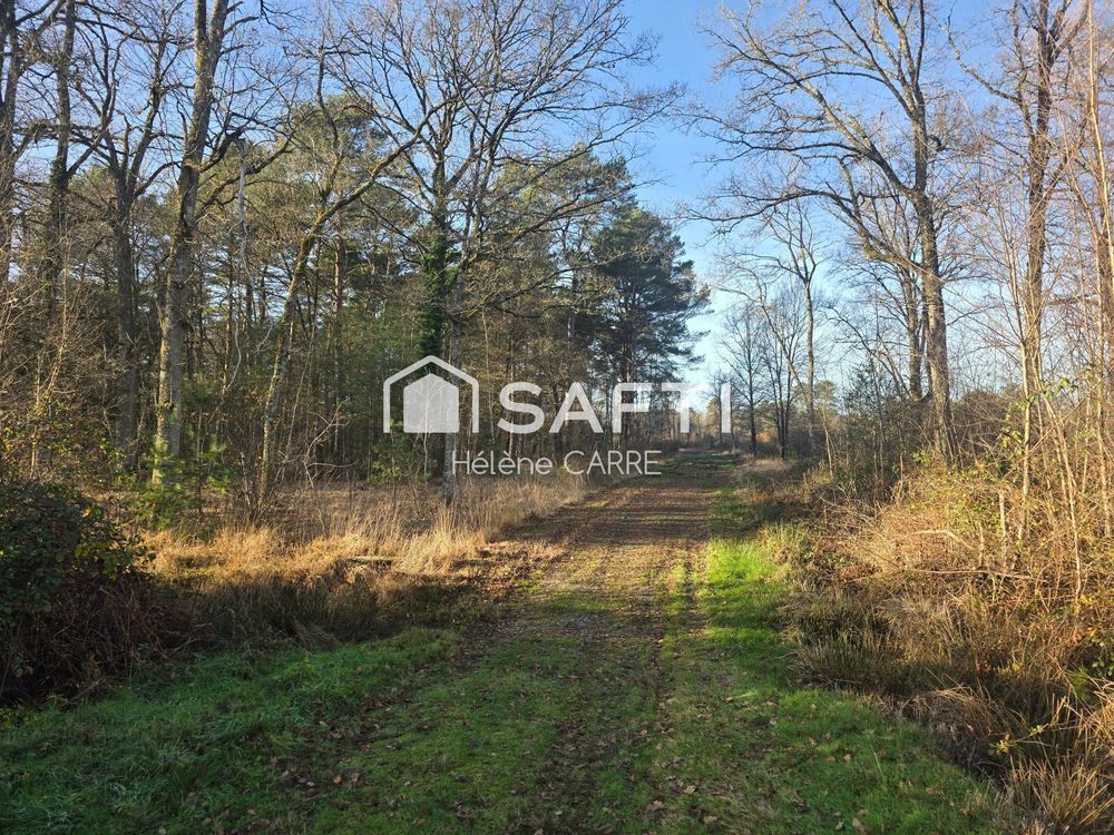 � vendre  Maison Presly (18380)