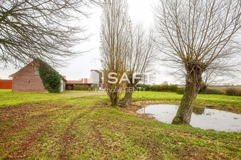 � vendre  Maison Steenvoorde (59114)