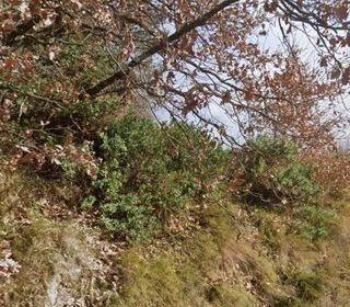  Terrain � vendre 2950 m�