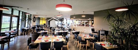 Fonds de commerce Bar-Brasserie &agrave; fort potentiel 350000 47250 Samazan