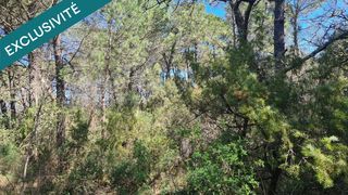  Terrain � vendre 11480 m�