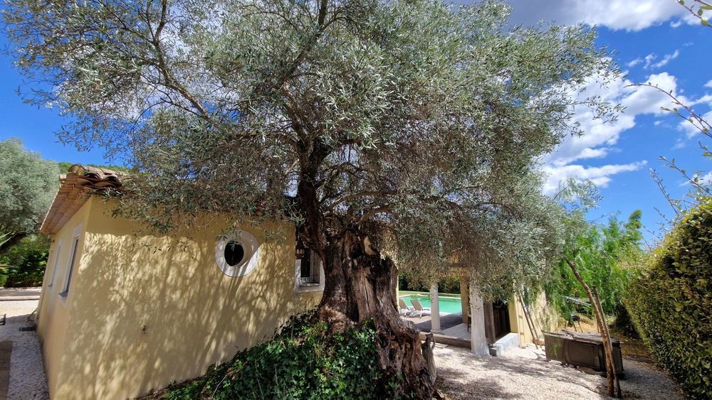 � vendre  Maison Solli�s-Pont (83210)