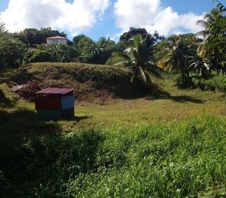  Terrain � vendre 2332 m�