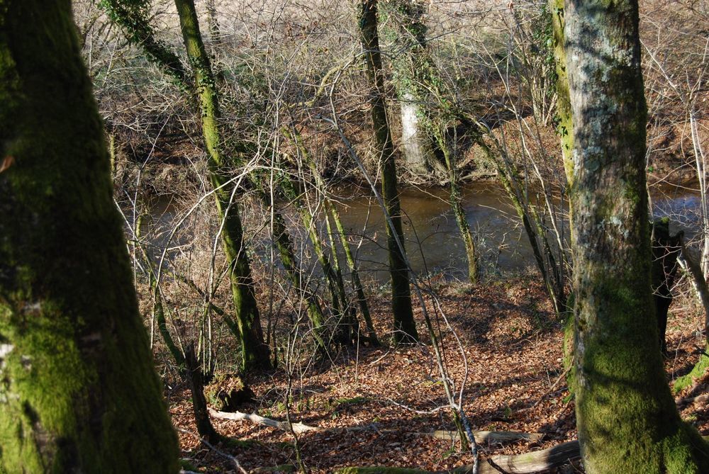 � vendre  Maison Mialet (24450)