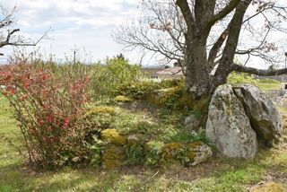  Terrain � vendre 681 m�