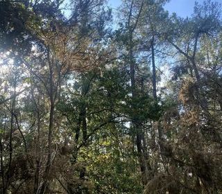  Terrain � vendre 2890 m�