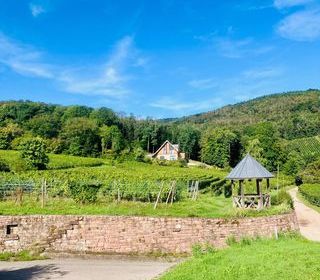  Maison � vendre 15 + pi�ces 295 m�