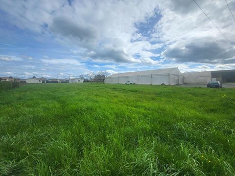 Terrain &agrave; b&acirc;tir avec local commercial r&eacute;habilitable. 520000 33210 Castets-en-dorthe