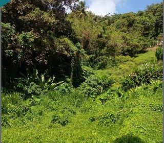  Terrain � vendre 3030 m�