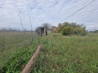  Maison � vendre 10 pi�ces 300 m�