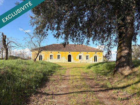   Propri�t� en pierre � 360 m� � 1,5 hectare � Oliviers � Projet d'exception � finaliser Maison - 8 pi�ce(s) - 360 m�