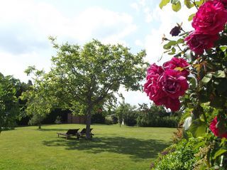  Maison � vendre 11 pi�ces 430 m�