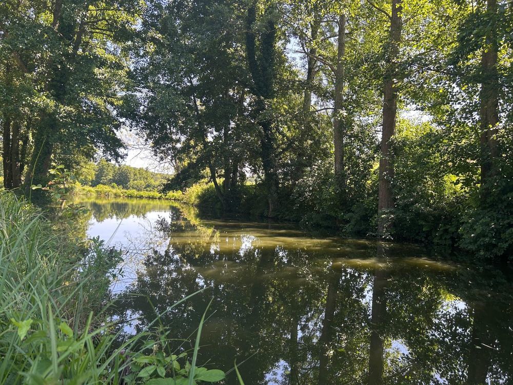 � vendre  Maison Tourouvre (61190)