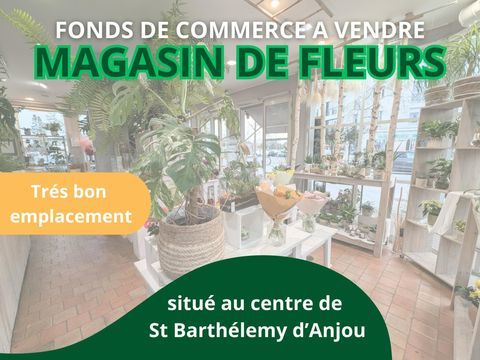 FONDS DE COMMERCE FLEURISTE 66500 49124 Saint-barthelemy-d'anjou