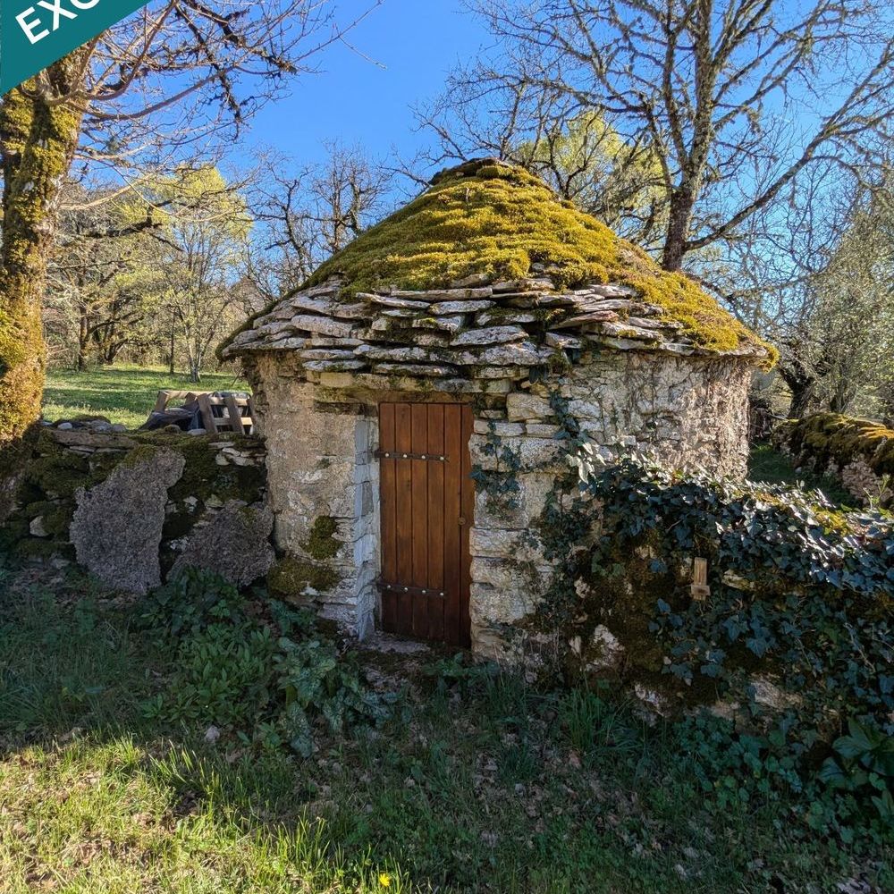 � vendre  Maison Saint-Jean-de-Laur (46260)