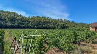  Terrain � vendre 33300 m�